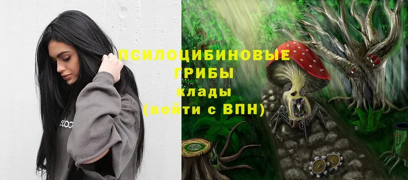 блэк спрут как войти  Белебей  Галлюциногенные грибы Magic Shrooms  где продают наркотики 